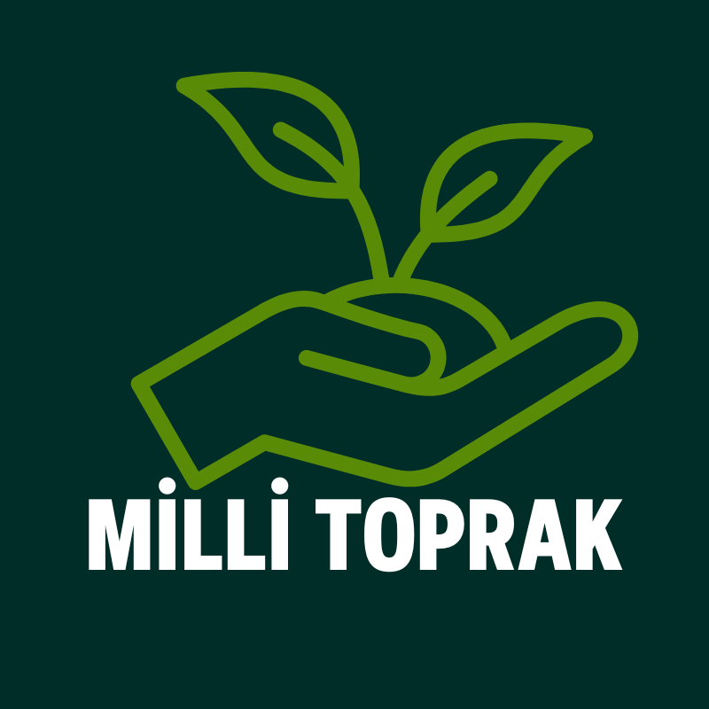 Hedef ve Başarı